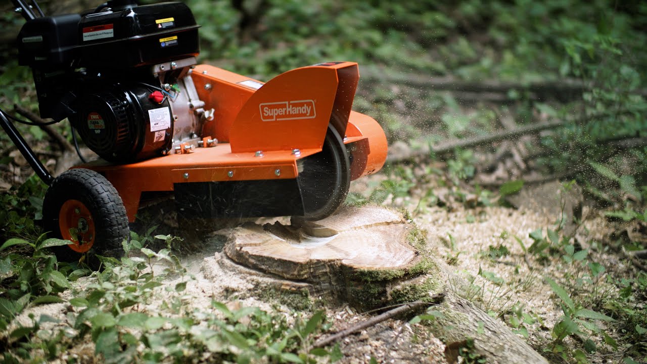 Benefits of Stump Grinding After Tree Removal