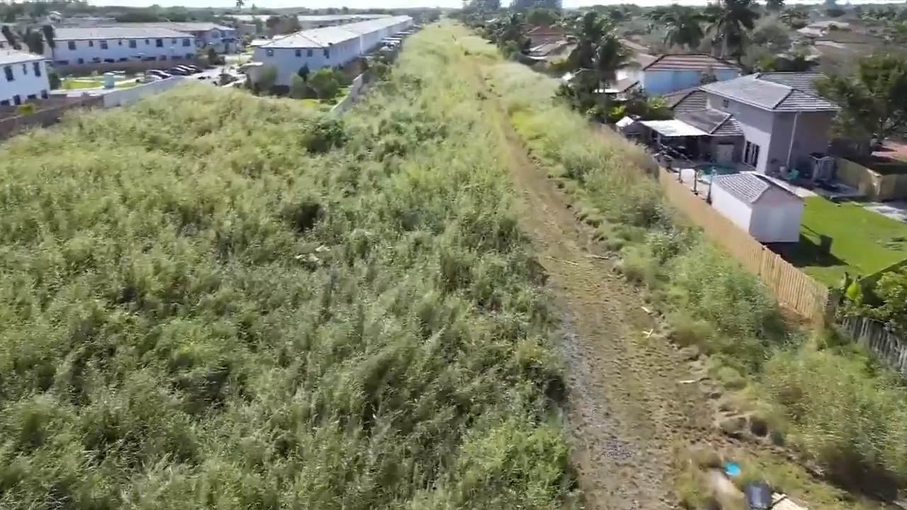 Overgrown vacant lot with dense brush before land clearing in Miami
